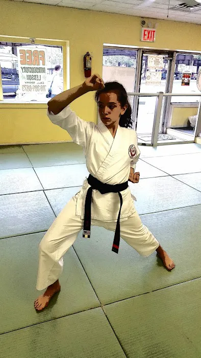 Greenpoint Shotokan Karate Picture 10