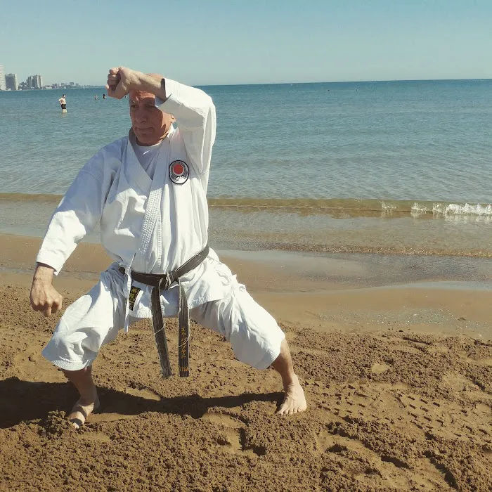 Itka Karate Global, ITKA Karate Picture 2