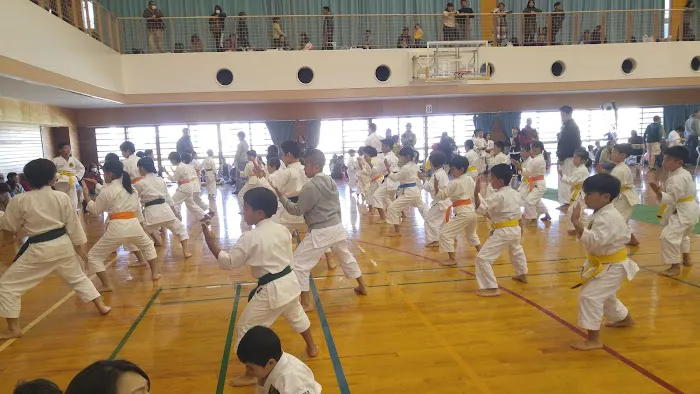 Itka Karate Global, ITKA Karate Picture 1
