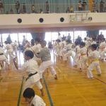 Itka Karate Global, ITKA Karate