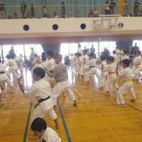 Itka Karate Global, ITKA Karate ico