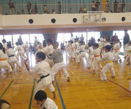 Itka Karate Global, ITKA Karate