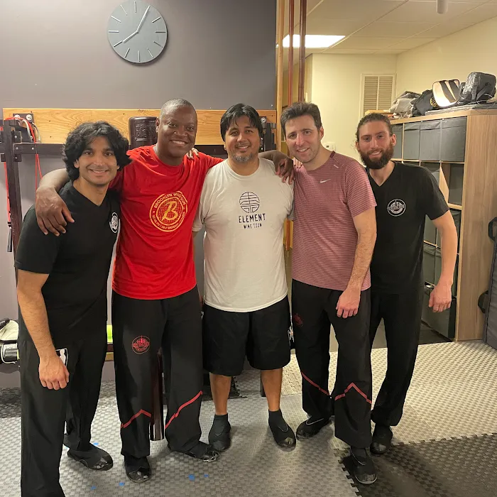 Element Wing Tsun Picture 6