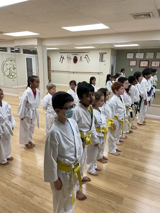 Okinawa Karate Gōjū Style Picture 3