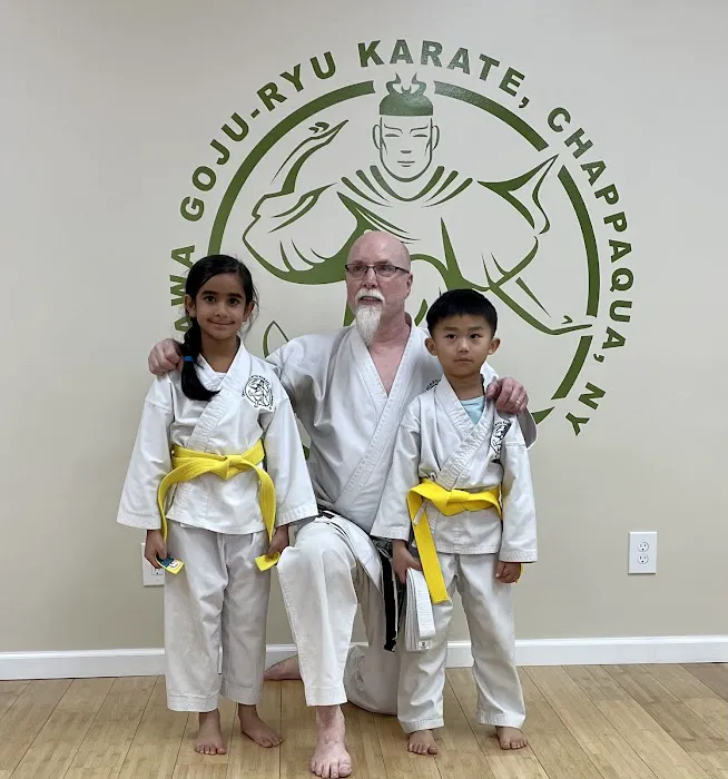 Okinawa Karate Gōjū Style Picture 2