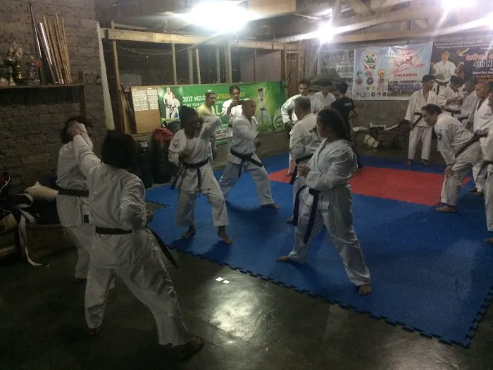 Kempo Karate & Self Defense, INC. Picture 2