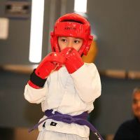 Kempo Academy of Martial Arts ico