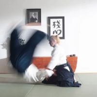 Aikido Tacoma Aikikai ico