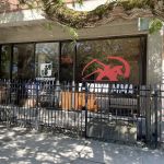 T-Town MMA/Checkmat Tacoma