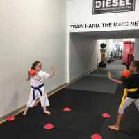 Karate Jutsu of Rahway ico