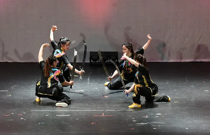 Wushu-Kung Fu Fitness Center Picture 9