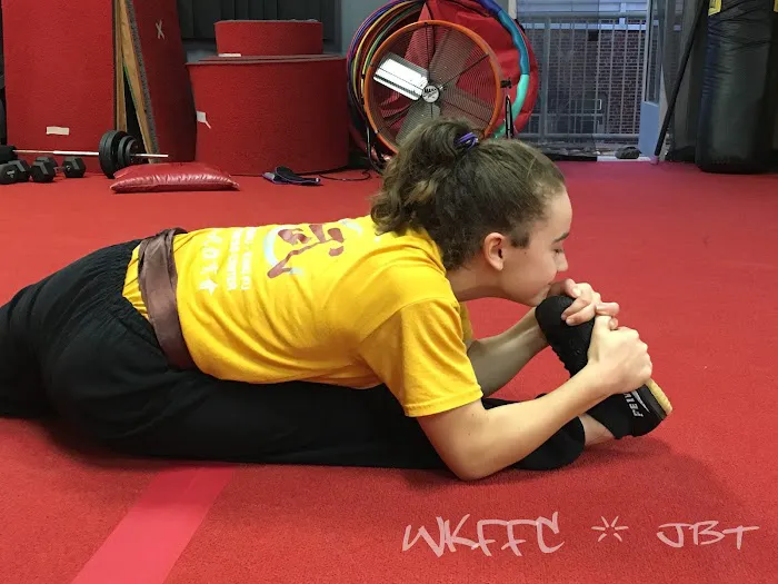 Wushu-Kung Fu Fitness Center Picture 6