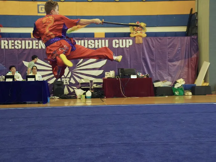 Wushu-Kung Fu Fitness Center Picture 4