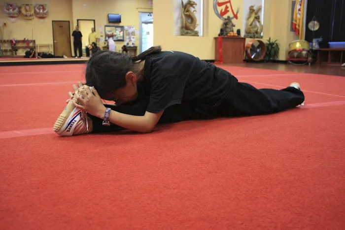 Wushu-Kung Fu Fitness Center Picture 10