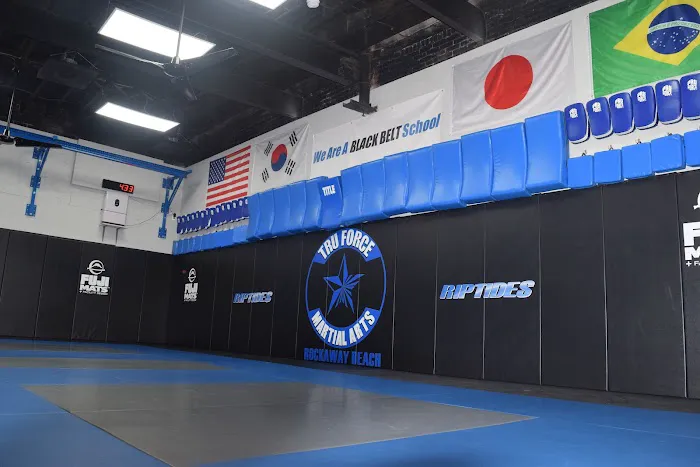 Tru Force Martial Arts / Daniel Gracie Team Picture 7