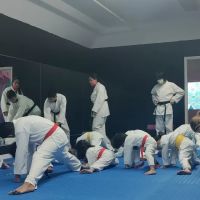 ZenTora Karate & Yoga ico