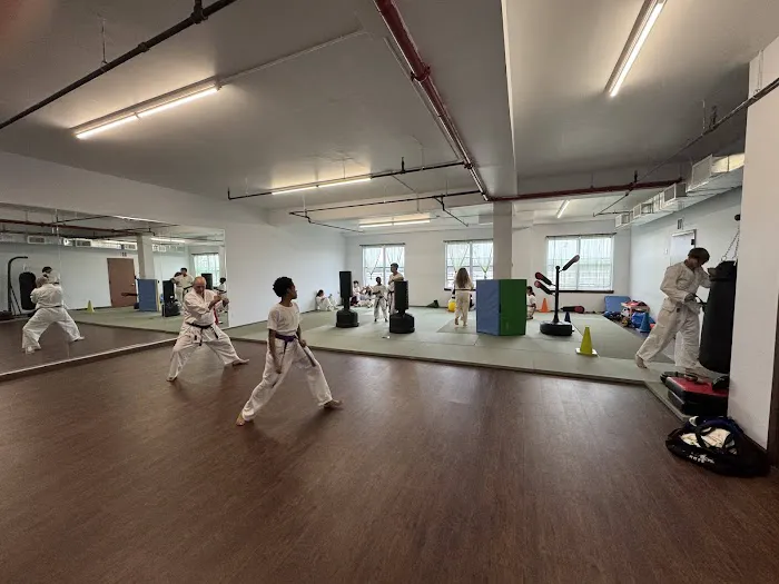ZenTora Karate & Yoga Picture 6