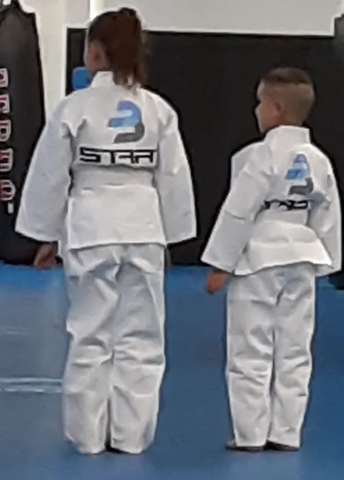 Gracie Jiu Jitsu Picture 1