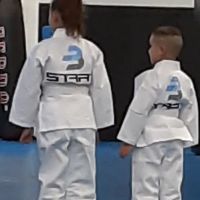 Gracie Jiu Jitsu ico