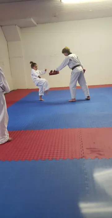 Engum's Academy Of Taekwondo Picture 2