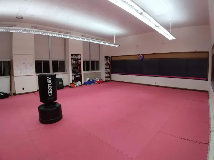 Minnewaska Tae Kwon Do LLC Picture 1