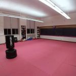 Minnewaska Tae Kwon Do LLC