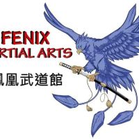 Fenix Martial Arts ico