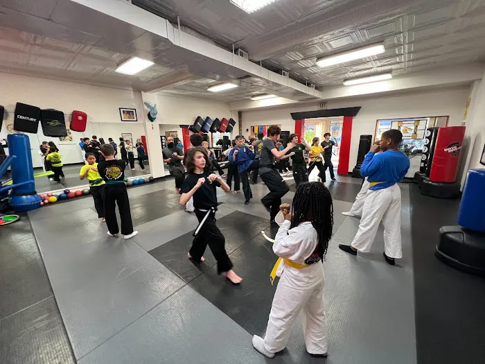 Shaolin Studios Picture 1