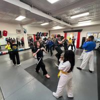 Shaolin Studios ico