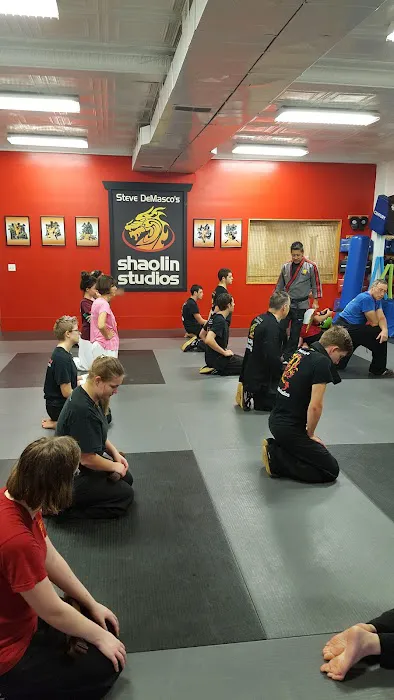 Shaolin Studios Picture 3