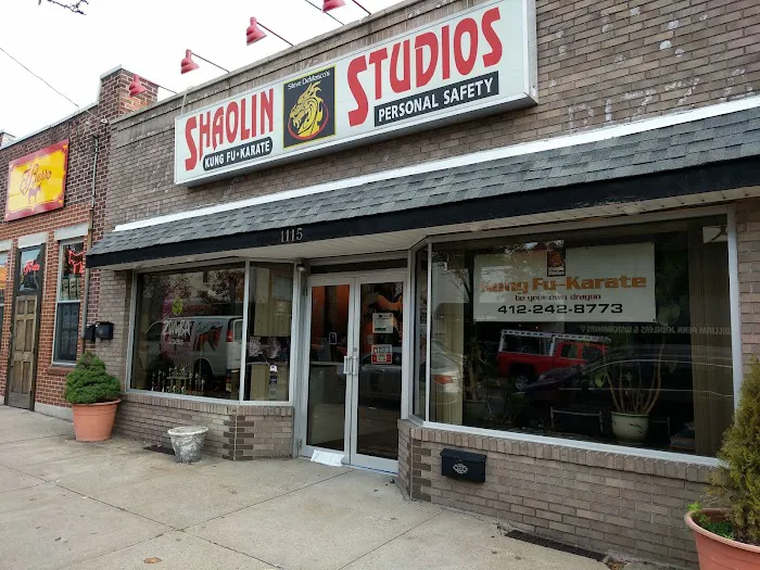 Shaolin Studios Picture 2