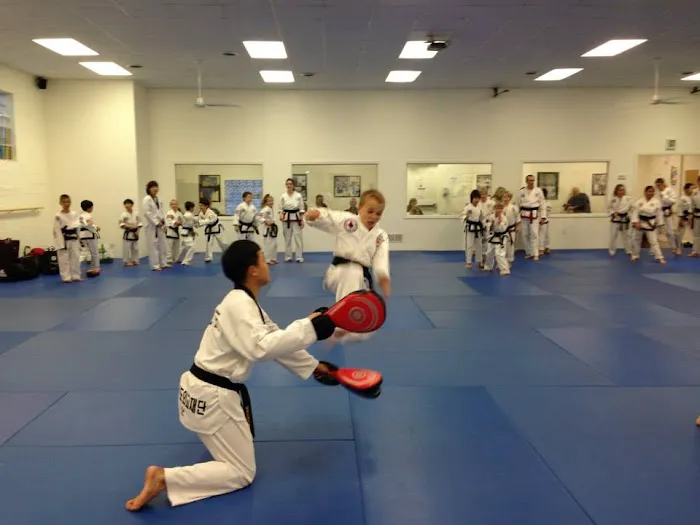 Young Brothers Tae Kwon Do Picture 8