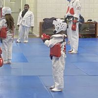 Young Brothers Tae Kwon Do ico