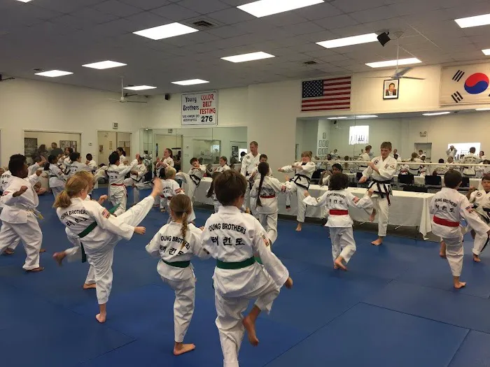 Young Brothers Tae Kwon Do Picture 6