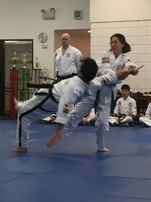 Young Brothers Tae Kwon Do Picture 7