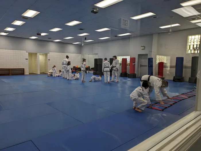 Young Brothers Tae Kwon Do Picture 4