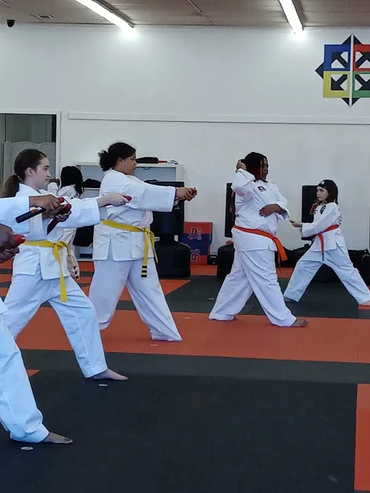 Dynamic Defenders ATA Martial Arts Picture 1