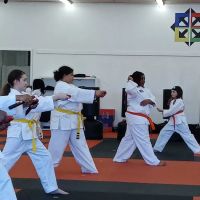 Dynamic Defenders ATA Martial Arts ico