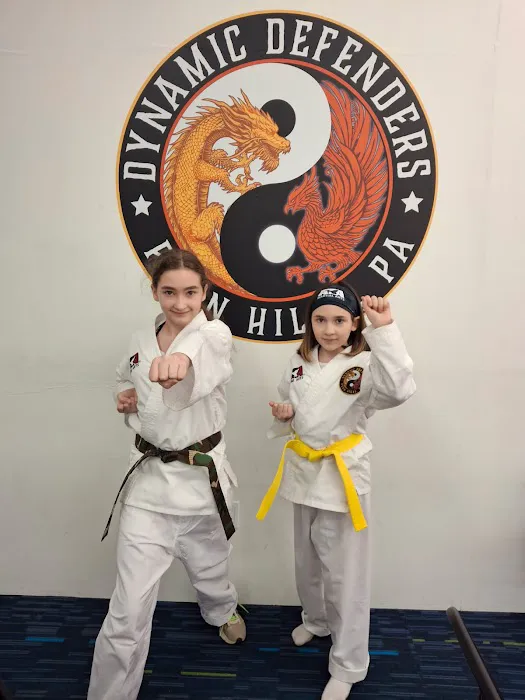 Dynamic Defenders ATA Martial Arts Picture 2