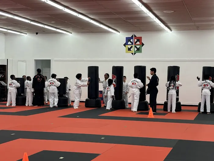 Dynamic Defenders ATA Martial Arts Picture 5