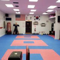 Chontas Tang Soo Do Karate ico