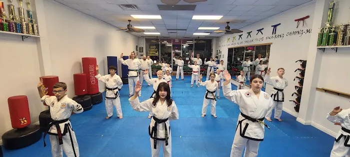 Young Brothers Tae Kwon DO Picture 3