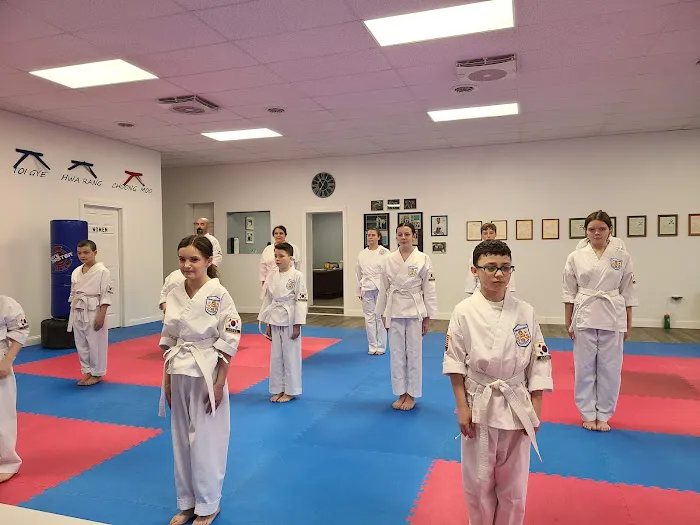 Young Brothers Tae Kwon DO Picture 4