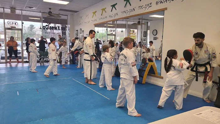 Young Brothers Tae Kwon DO Picture 8
