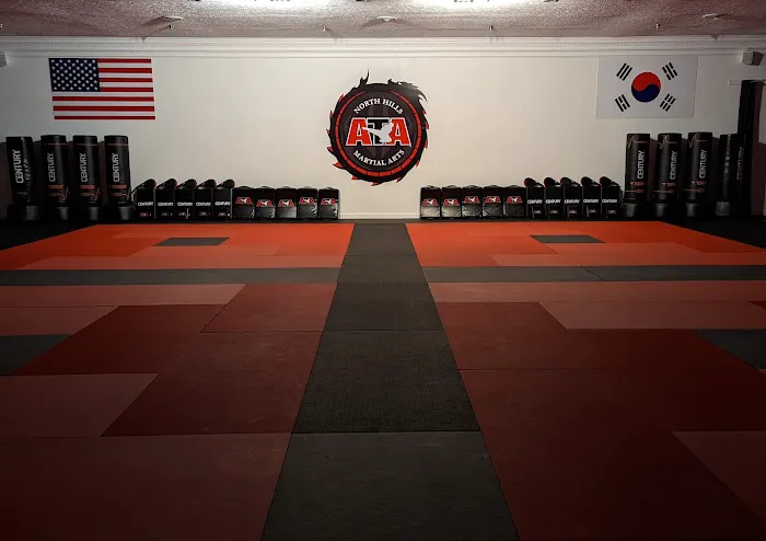 North Hills ATA Martial Arts Picture 9