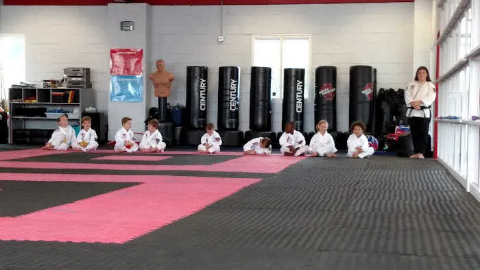 North Hills ATA Martial Arts Picture 2