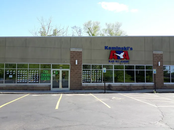 Kaminski's ATA Martial Arts Academy Picture 1