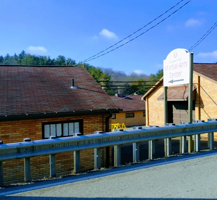 Allegheny County Martial Arts Center Picture 1