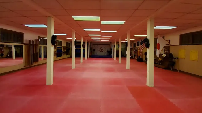 Allegheny County Martial Arts Center Picture 10