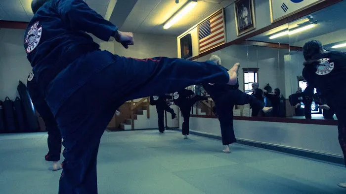 Cho's Ameris TaeKwonDo Picture 5
